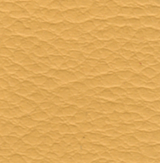 ecopelle-004.jpg